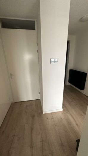 242874536