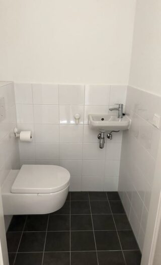 242874538